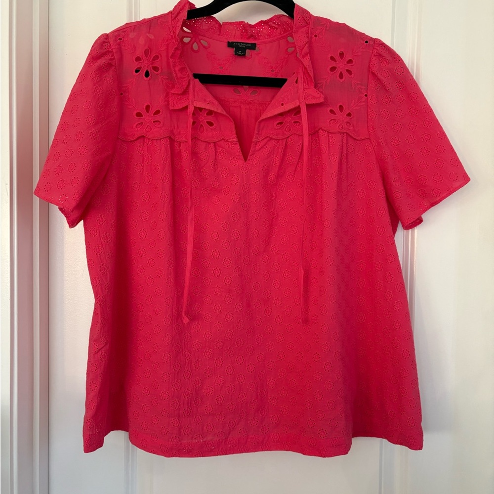 Ann Taylor Pink Floral Eyelet Ruffle Embroidered Short Sleeve Blouse Petites LP